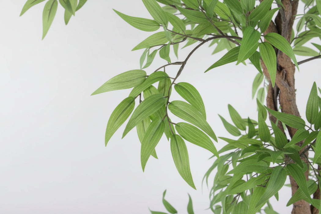 140cm Realistic Japanese Fruticosa Tree Ficus Gold Metal Planter.