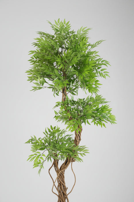 140cm Realistic Japanese Fruticosa Tree Ficus Gold Metal Planter.