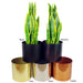 Medium Black Stand with Copper Metal Planter 38.5cm x 18cm