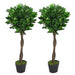 Pair of 90cm (3ft) Twisted Stem Artificial Topiary Bay Laurel Ball Trees