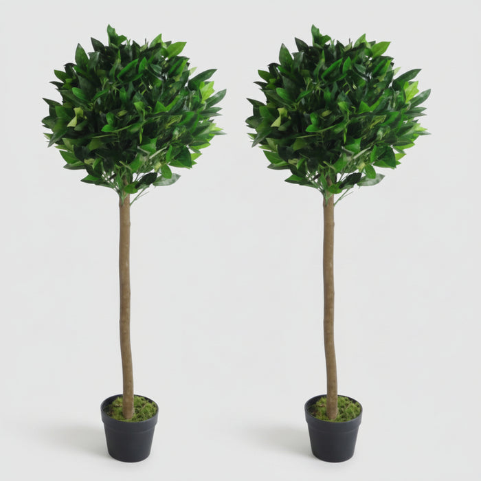 Pair of 120cm (4ft) Plain Stem Artificial Topiary Bay Laurel Ball Trees