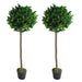 Pair of 120cm (4ft) Plain Stem Artificial Topiary Bay Laurel Ball Trees