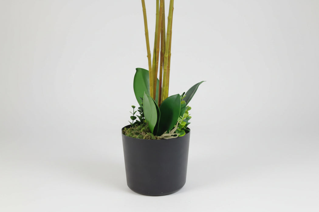 Stunning 85cm Faux Deluxe Bush Orchid