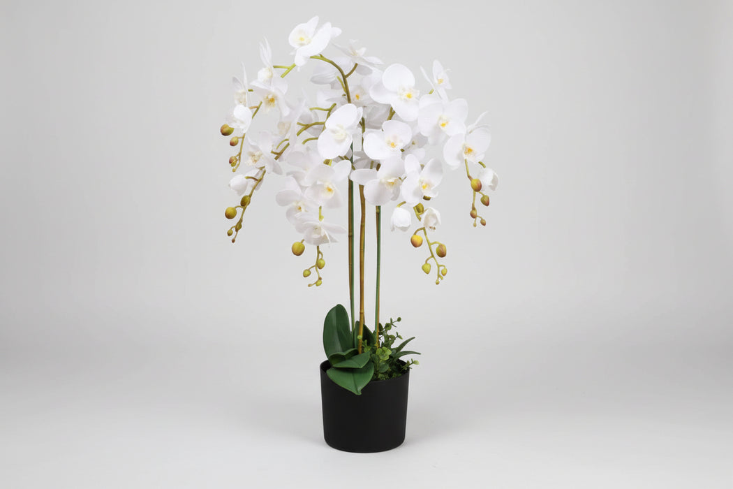 Stunning 85cm Faux Deluxe Bush Orchid