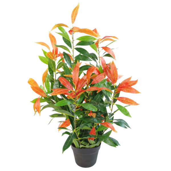 80cm Faux Red and Green Ficus Plant