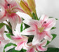 90cm (3ft) Artificial Lilies Stargazer Style Lily Plant Large Flowers