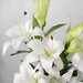 90cm (3ft) Artificial Lilies Stargazer Style Lily Plant Large Flowers