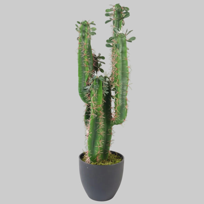 75cm Premium Artificial Cactus with pot