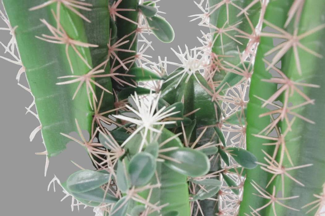 75cm Premium Artificial Cactus with pot