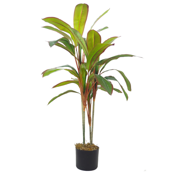 100cm Dracaena Plant/Tree with Metal Planter