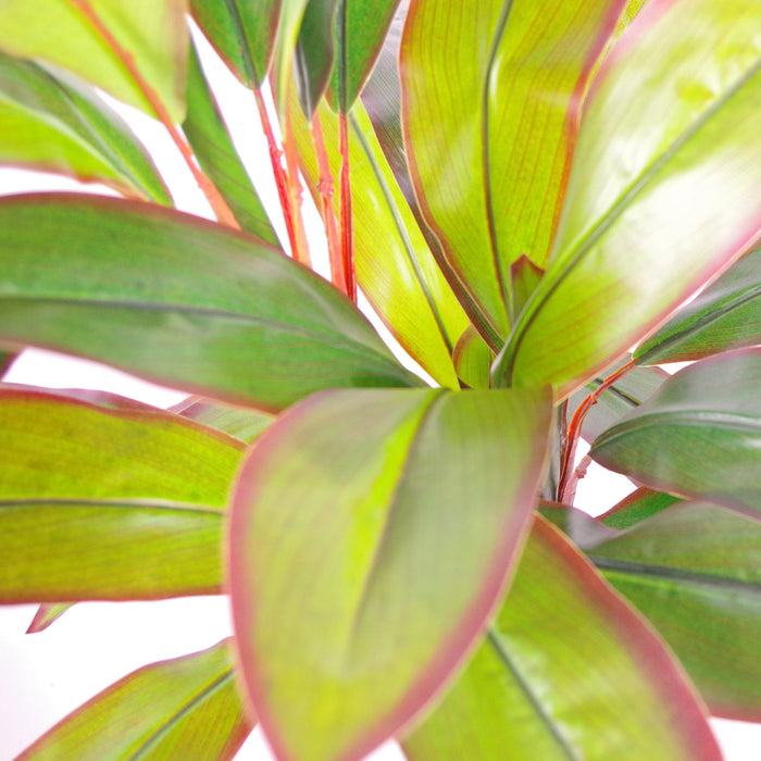 100cm Dracaena Plant/Tree with Metal Planter