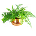 Leaf XL Metal Bowl Planter 32 x 20cm Hammered Copper Colour - Straight Edge