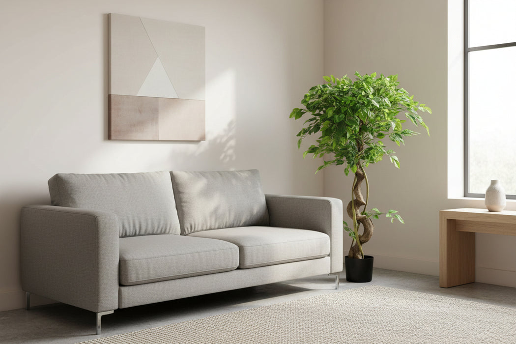 120cm Twisted Trunk Japanese Fruticosa Ficus Tree