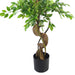 150cm Twisted Trunk Artificial Japanese Fruticosa Ficus Tree Rainbow Planter