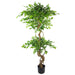 150cm Twisted Trunk Artificial Japanese Fruticosa Ficus Tree Silver Planter
