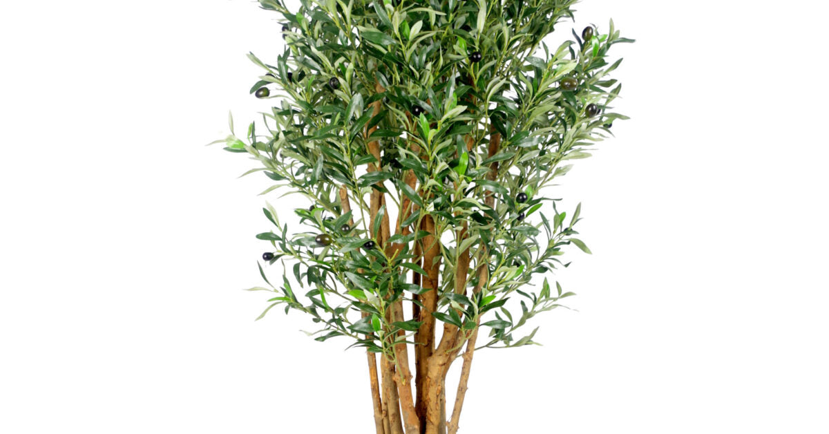 125cm Luxury Olive Tree – Premium Range