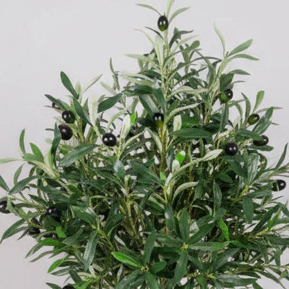 125cm Luxury Olive Tree – Premium Range