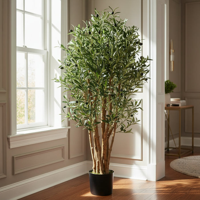 125cm Luxury Olive Tree – Premium Range