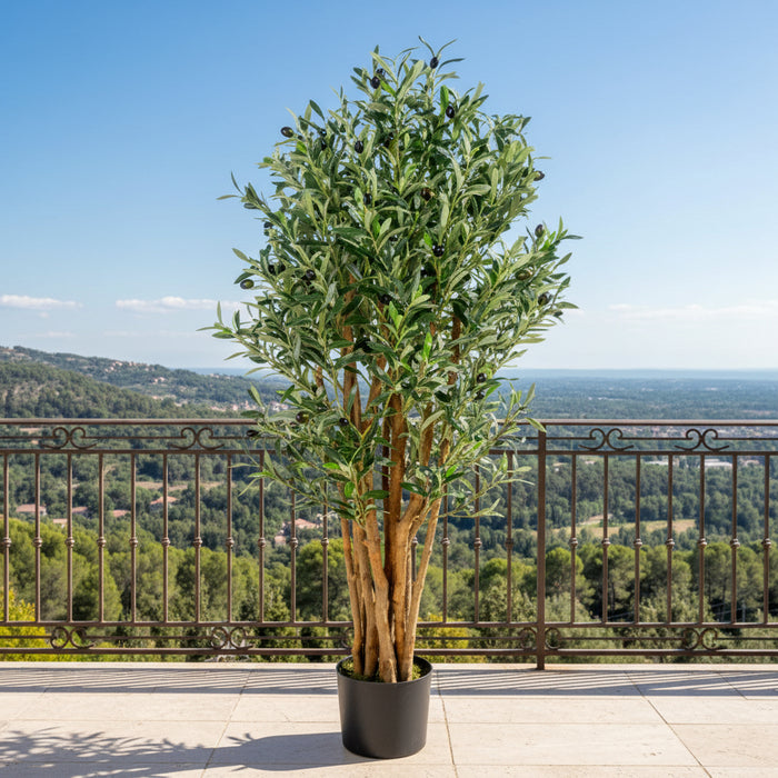 125cm Luxury Olive Tree – Premium Range