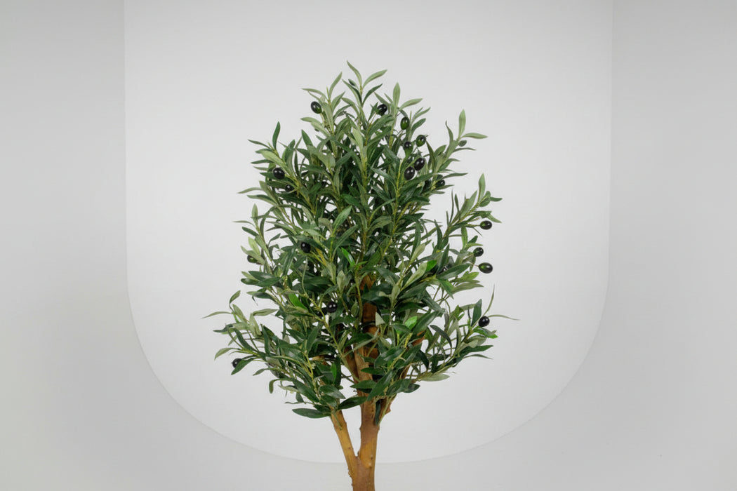 65cm Realistic Luxury Faux Olive Tree Bush – Premium Range