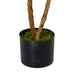 100cm Luxury Artificial Mini Ruscus Tree - Premium Range