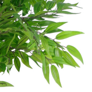 100cm Luxury Faux Mini Ruscus Tree – Premium Range