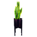 Medium Black Stand with Gold Metal Planter 38.5cm x 18cm