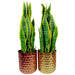 Honeycomb Metal Planter - Copper - 18cm x 15.5cm
