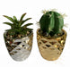 15cm Set of Two Silver and Gold Ceramic Planters with Artificial Cactus and Dracaena