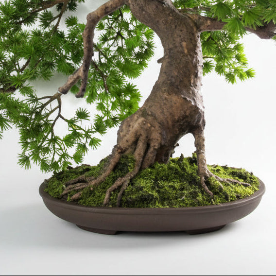 50cm Artificial Luxury Pine Bonsai Tree