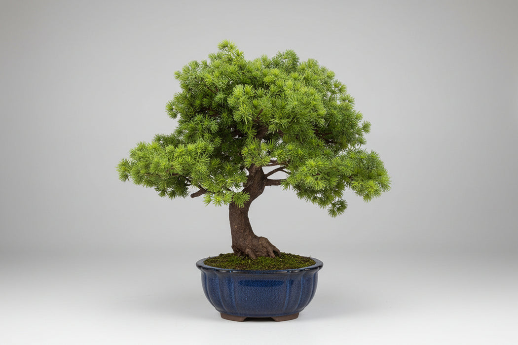 50cm Artificial Luxury Pine Bonsai Tree