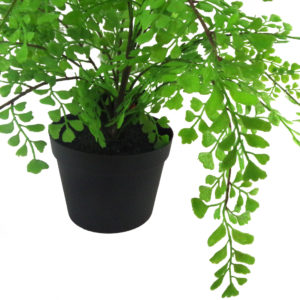 35cm Faux Potted Fern Plant (Southern Maidenhair Fern)