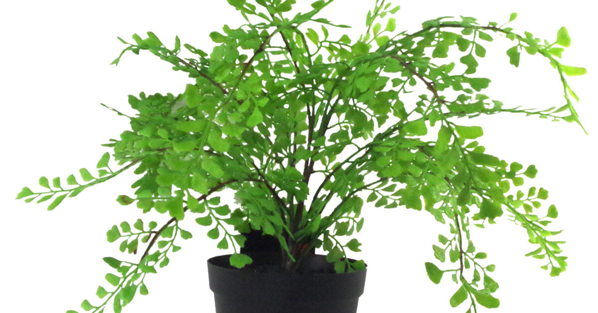 35cm Faux Potted Fern Plant (Southern Maidenhair Fern)