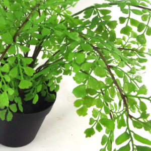 35cm Faux Potted Fern Plant (Southern Maidenhair Fern)