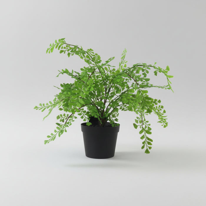 35cm Faux Potted Fern Plant (Southern Maidenhair Fern)