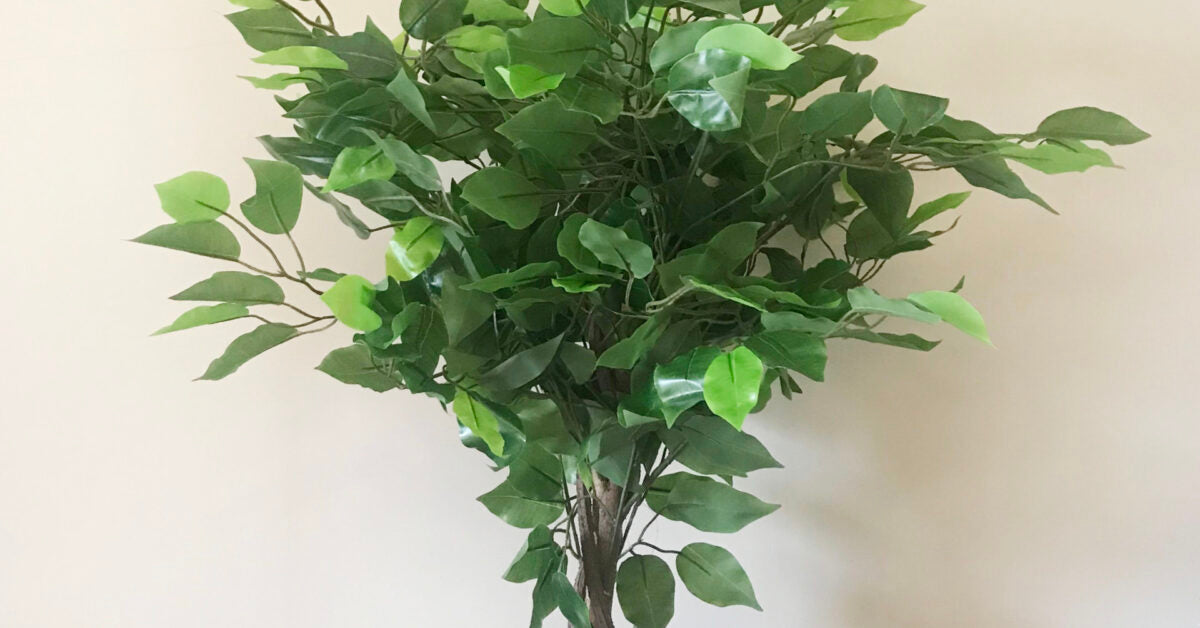 60cm Artificial Ficus Tree / Plant – Large Bushy Shape