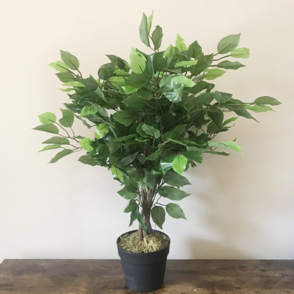 60cm Artificial Ficus Tree / Plant – Large Bushy Shape