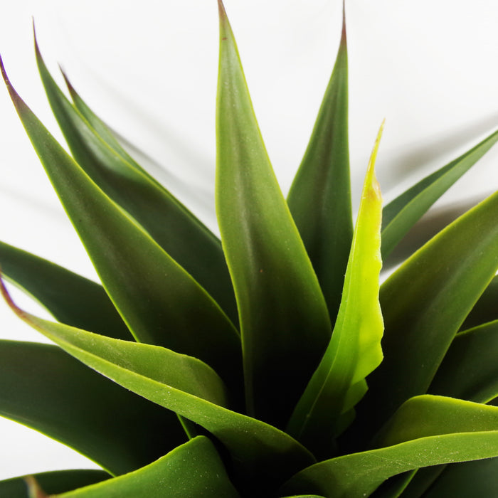 55cm Artificial Yucca Plant
