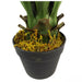 55cm Artificial Yucca Plant