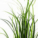 60cm Artificial Lemongrass Grass Plant