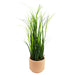 60cm Artificial Grass Plant With Peach Dusty Pink Ceramic Planter