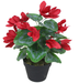 38cm Artificial Cylamen Plant Red