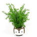 45cm Artificial Asparagus Fern Plant