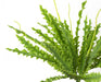 40cm Artificial Crocodile Fern Plant