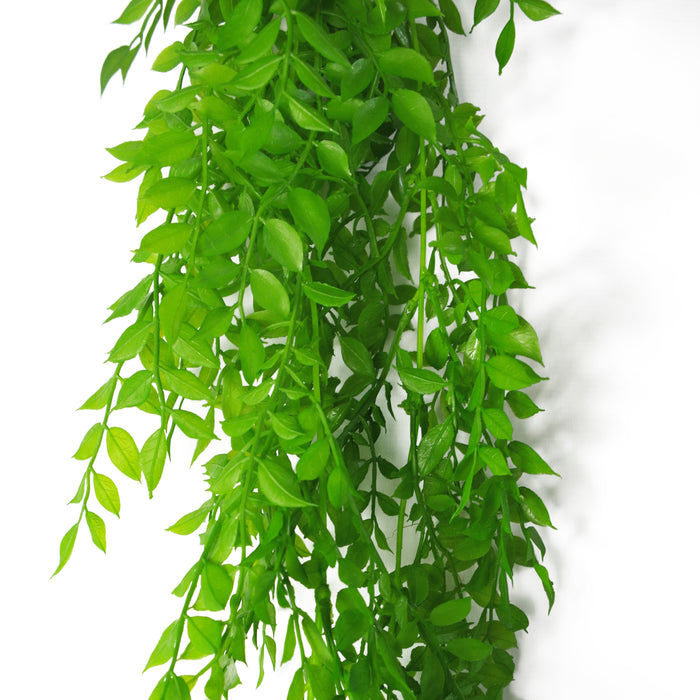 100cm Hanging String of Pearls Fern Plant Light Green