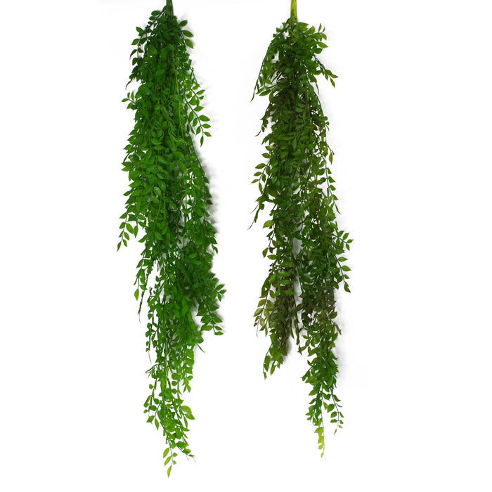 6 x 100cm Hanging String of Pearls Fern Plant Dark Green