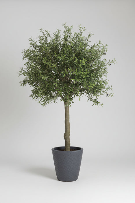 Hand Crafted Luxury Faux Olive Tree 230cm - Fire Retardant