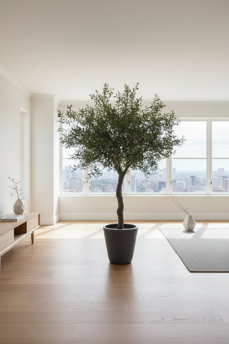 Hand Crafted Luxury Faux Olive Tree 230cm - Fire Retardant