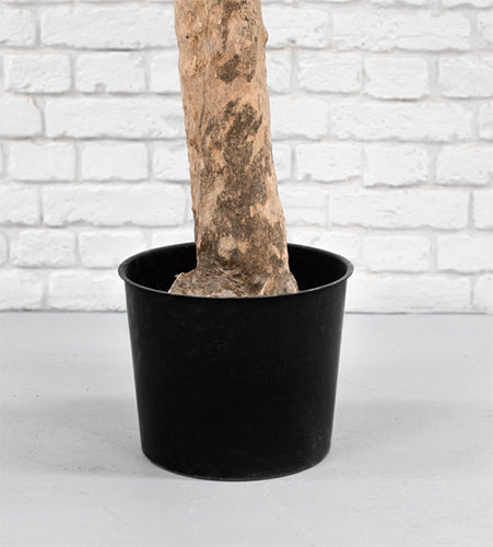 Realistic Olive Tree - 200cm - Fire Retardant and UV Resistant