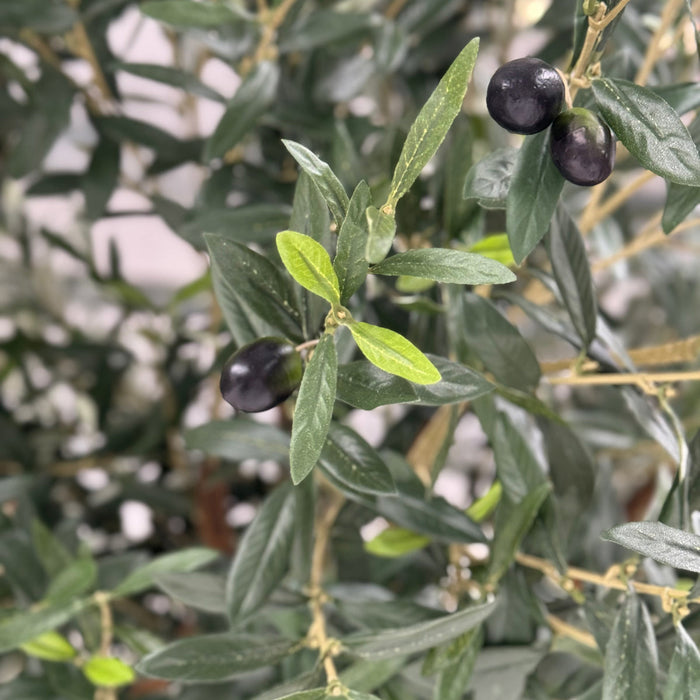 Hand Crafted Luxury Faux Olive Tree 230cm - Fire Retardant